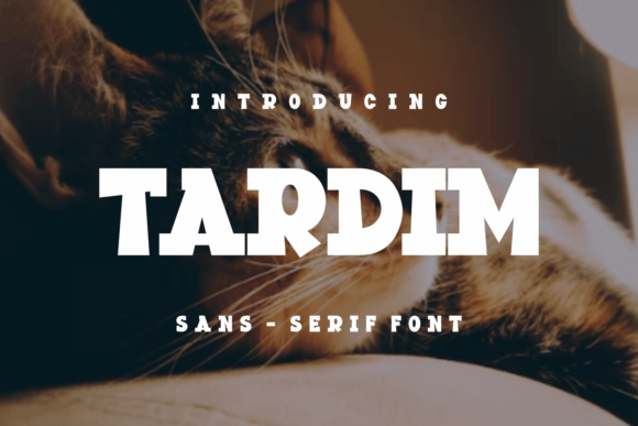 Tardim: The Bold Display Font for Handmade Product Branding